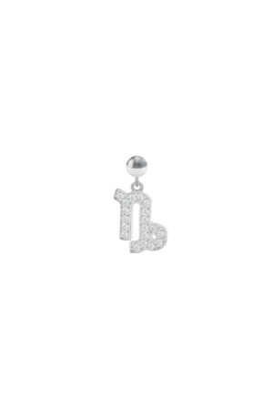 Charm Segno Zodiacale Capricorno