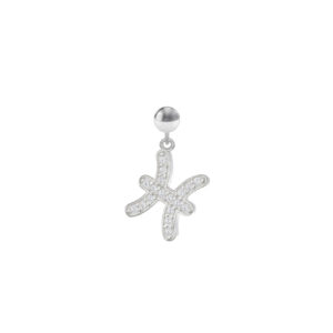 Charm Segno Zodiacale Pesci