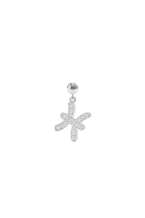 Charm Segno Zodiacale Pesci